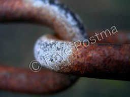 Chain